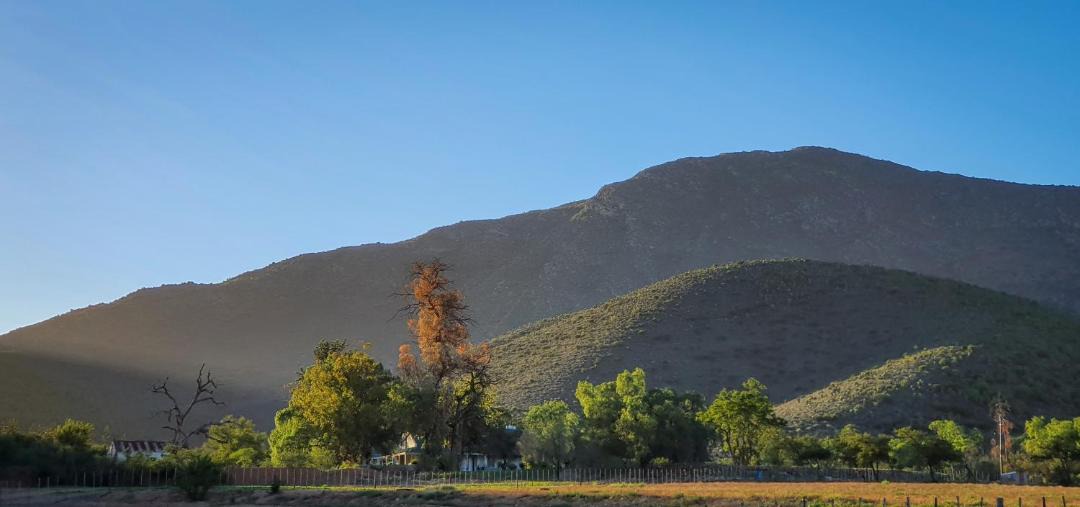 Photo of Others in Schoemanshoek