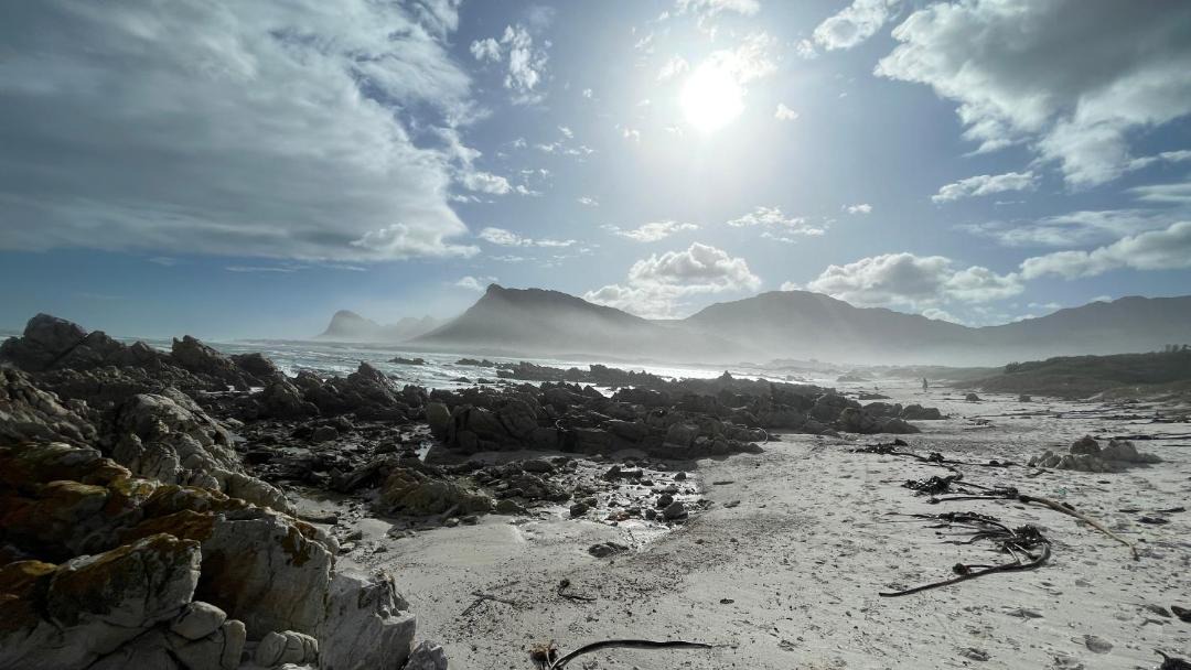 Photo of Others in Pringle Bay