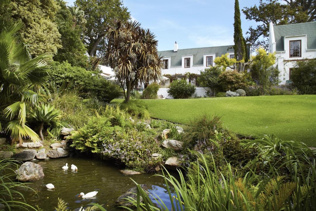 Photo of Others in Constantia