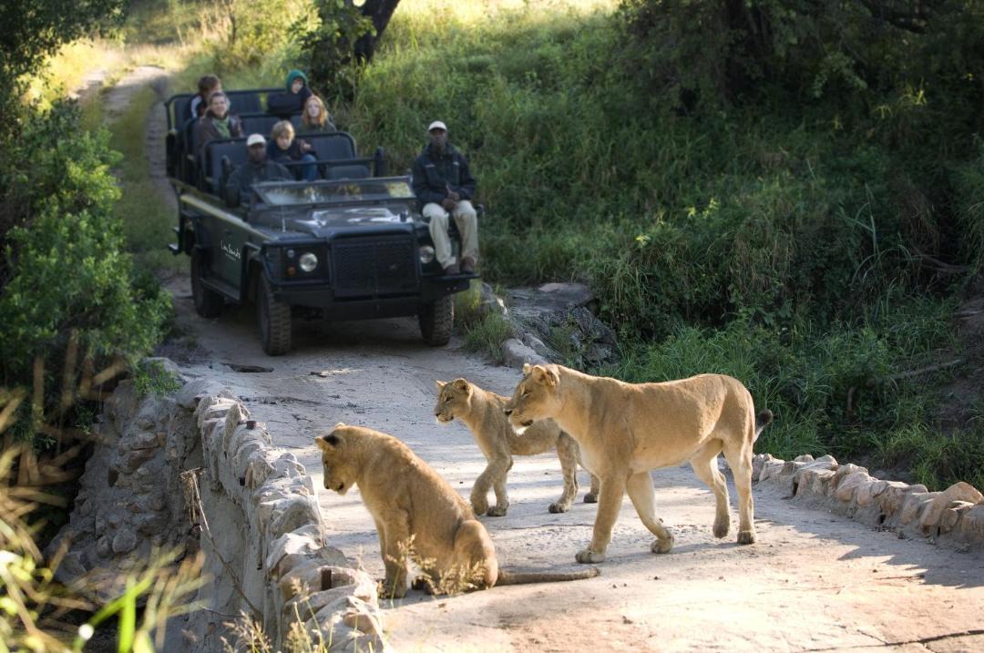 Photo of Others in Ehlanzeni