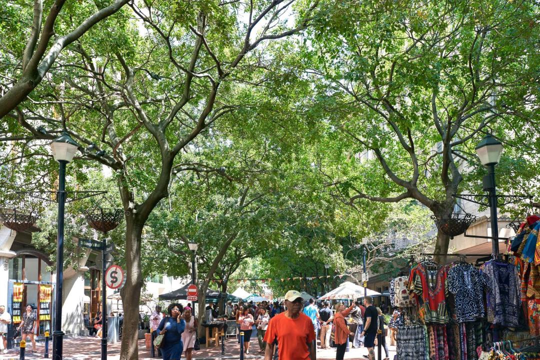 Photo of Others in Cape Town City Centre