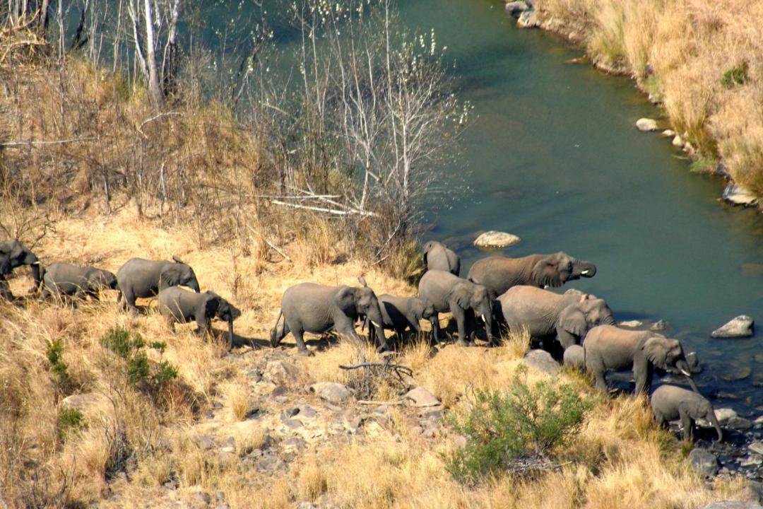 Photo of Others in Ladysmith