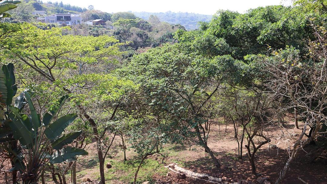 Photo of Others in Kloof