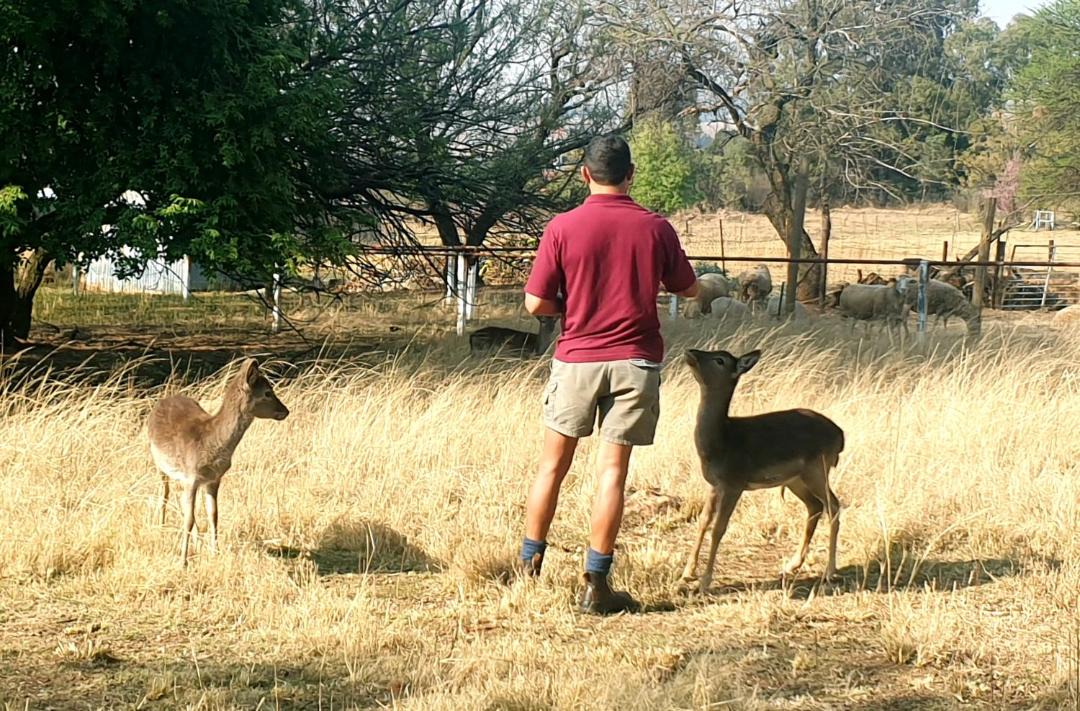 Photo of Others in Krugersdorp