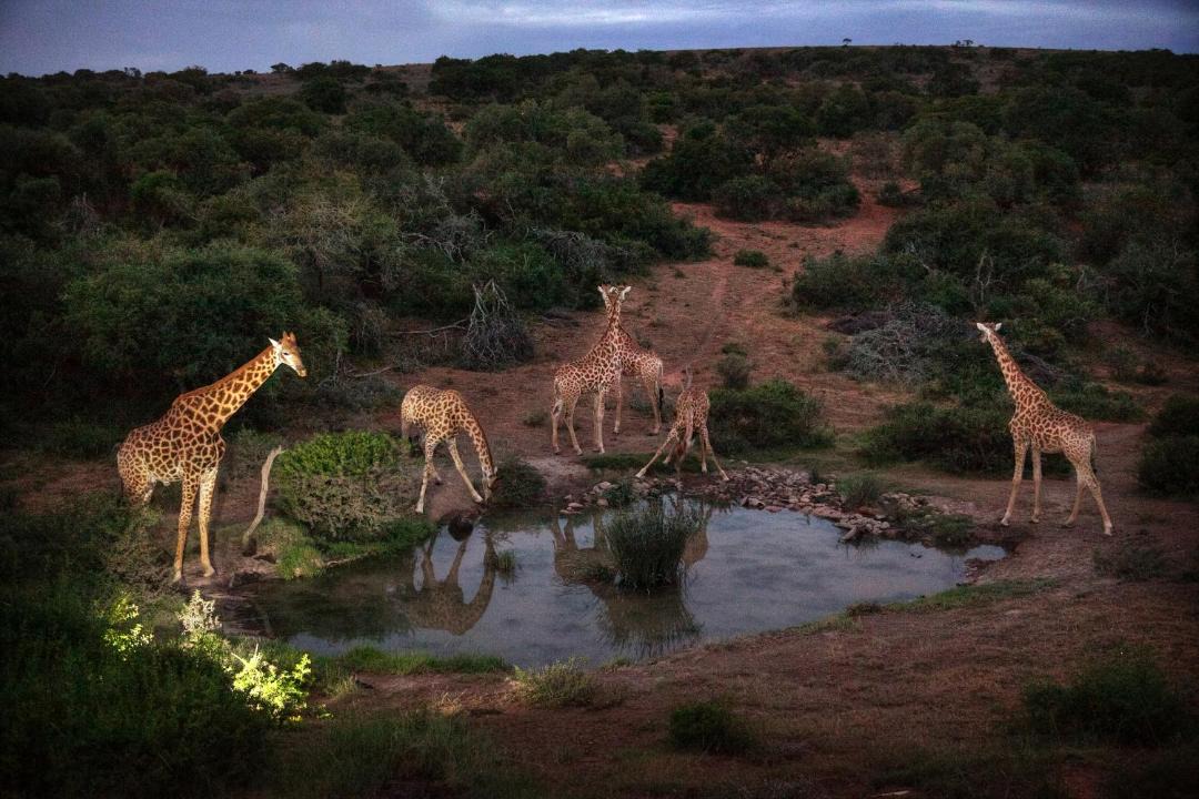 Photo of Others in Paterson
