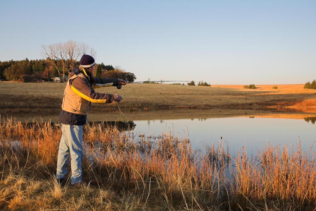 Photo of Others in Dullstroom