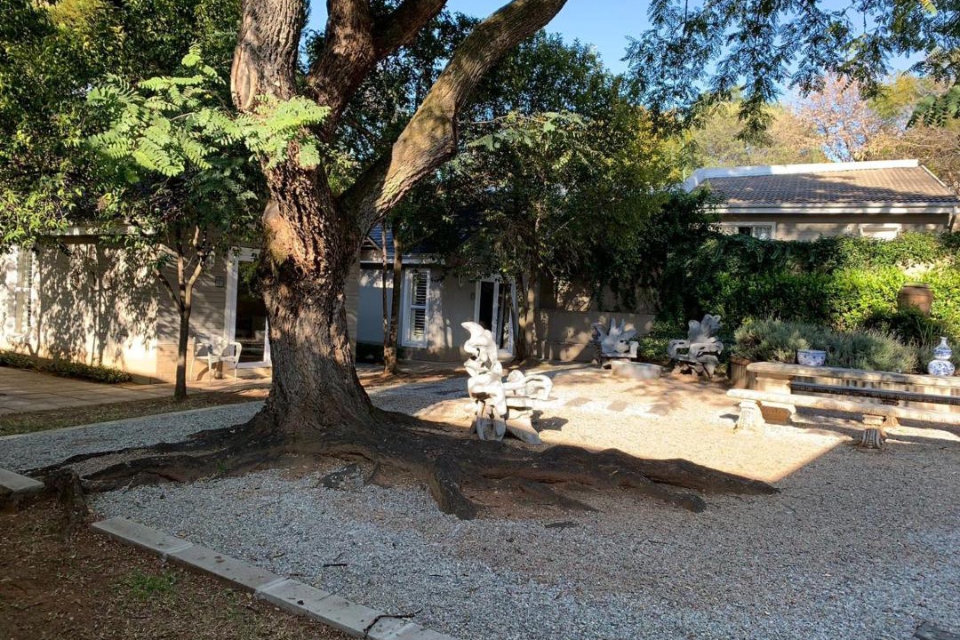 Photo of Others in Greater Johannesburg Metropolitan Area