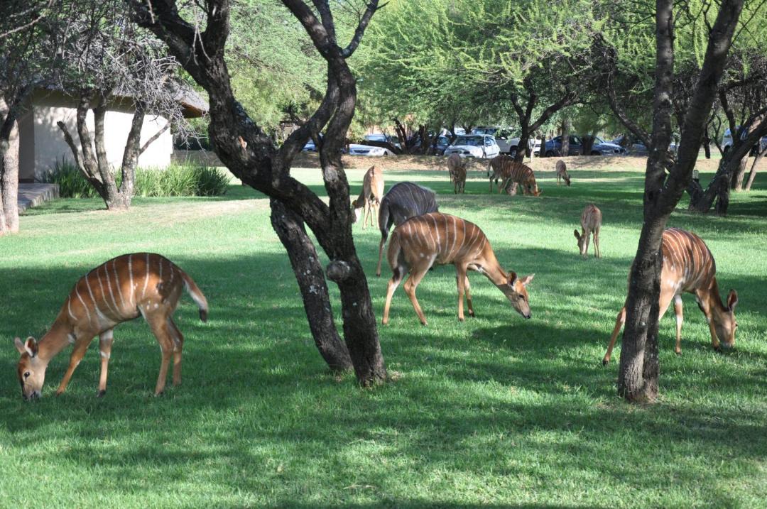 Photo of Others in Hammanskraal