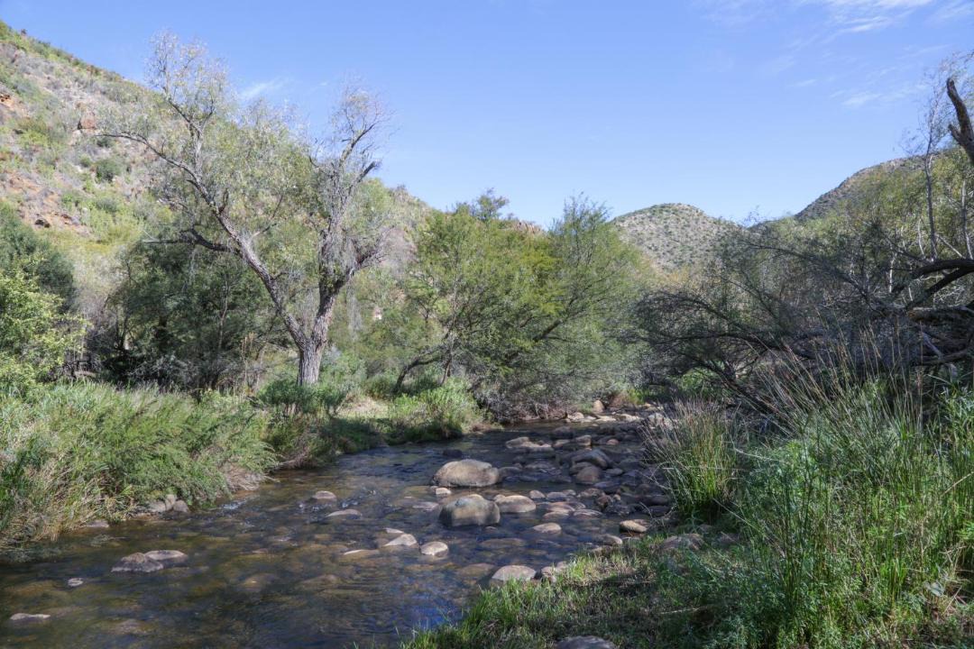 Photo of Others in Schoemanshoek