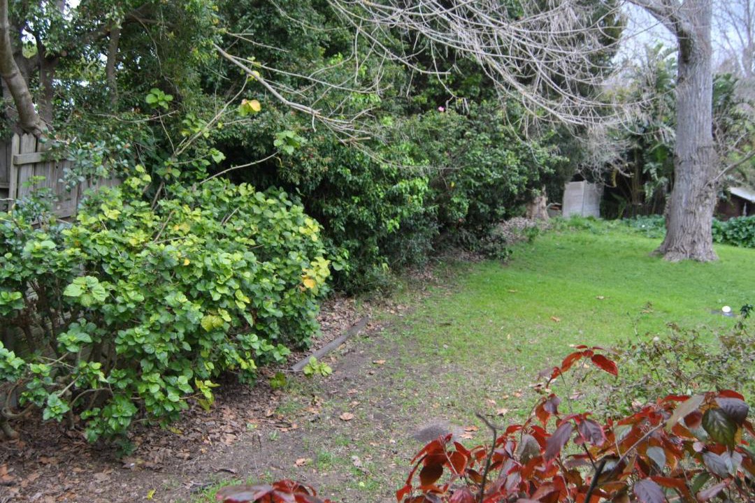 Photo of Others in Alphen
