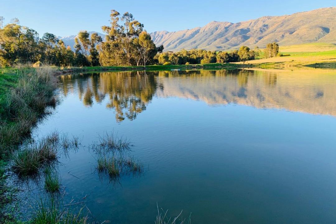 Photo of Others in Tulbagh