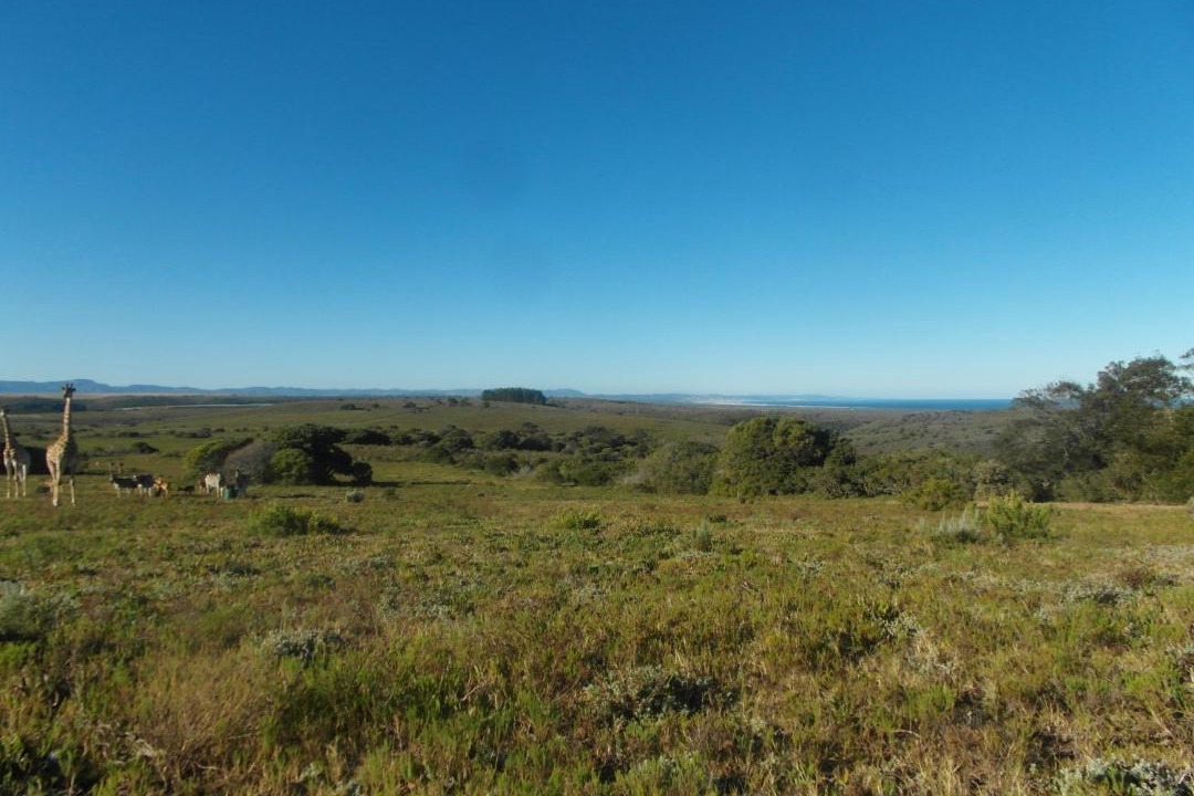 Photo of Others in Humansdorp