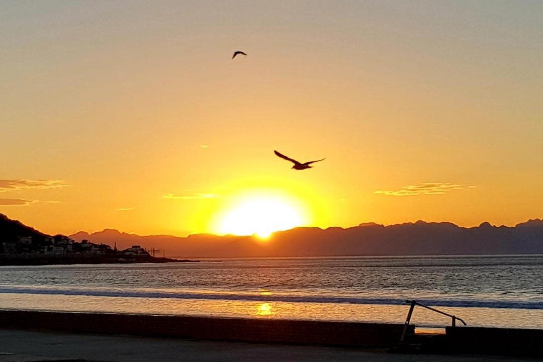Photo of Others in Marina da Gama