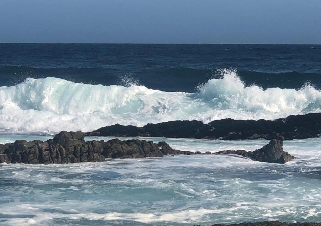 Photo of Others in Hermanus