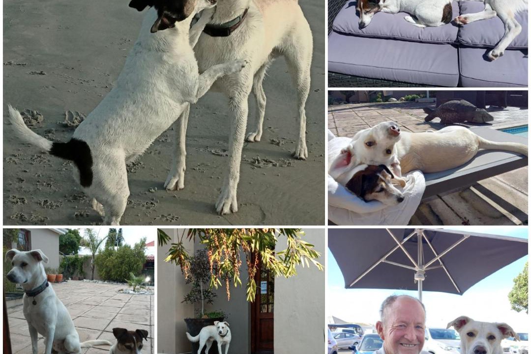 Photo of Others in Milnerton