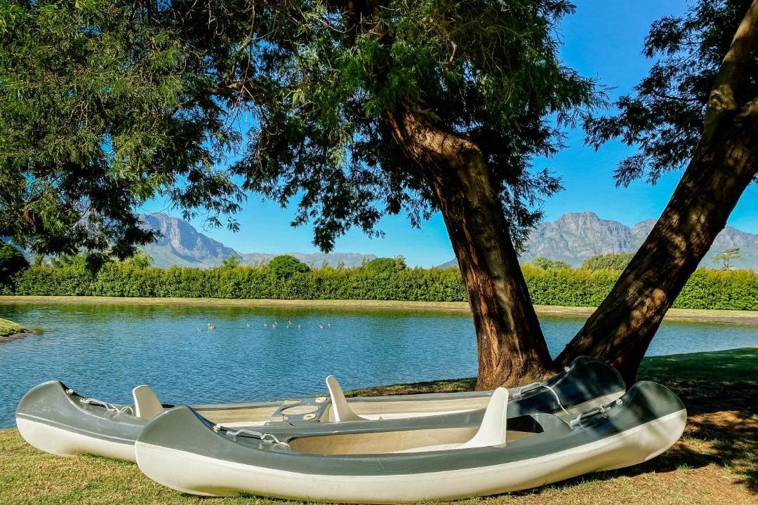 Photo of Others in Cape Winelands
