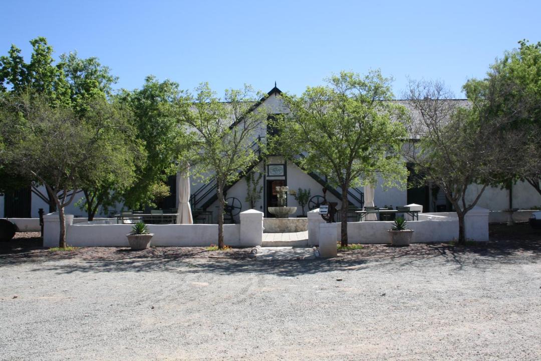 Photo of Others in Sol Plaatjie