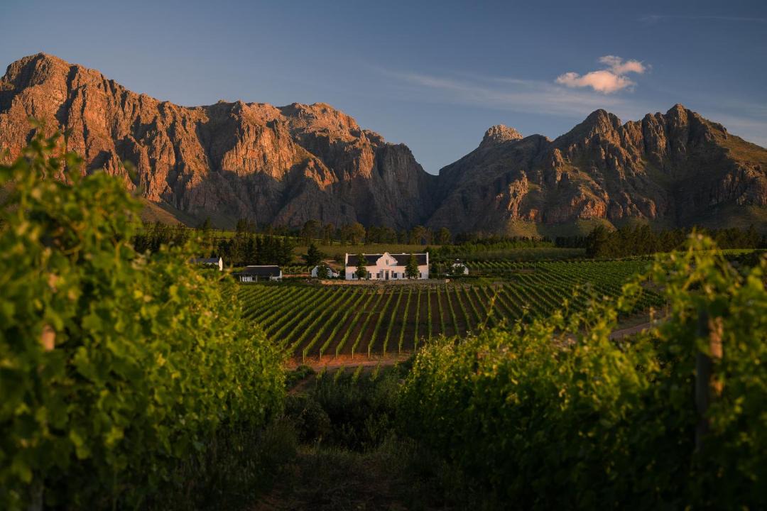 Photo of Others in Paarl