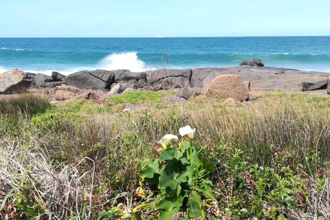 Photo of Others in Port Edward