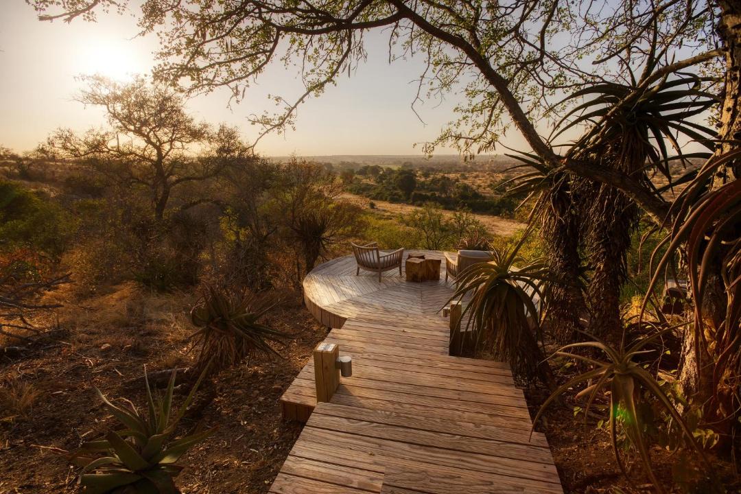 Photo of Others in Kruger National Park