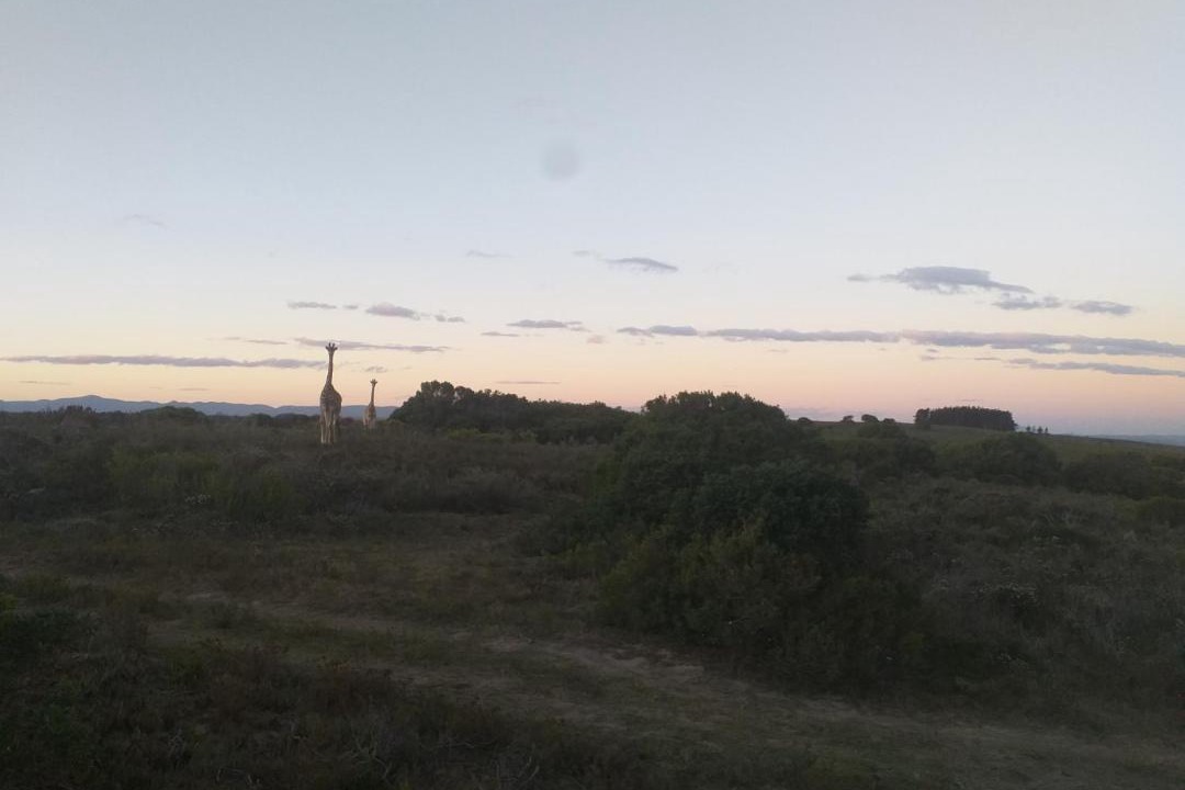 Photo of Others in Humansdorp