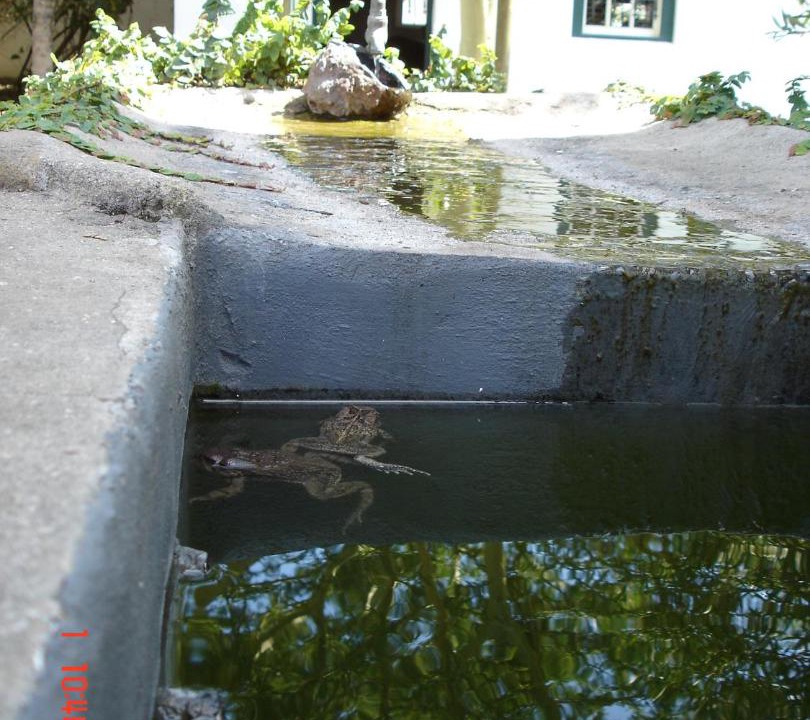 Photo of Others in Riversdale