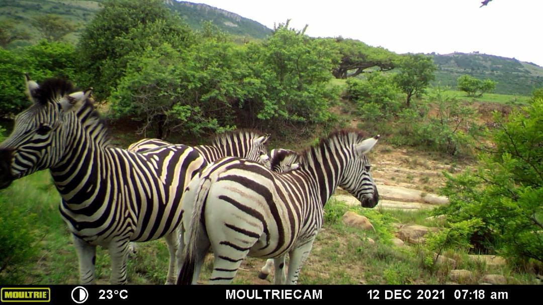 Photo of Others in Elandskraal