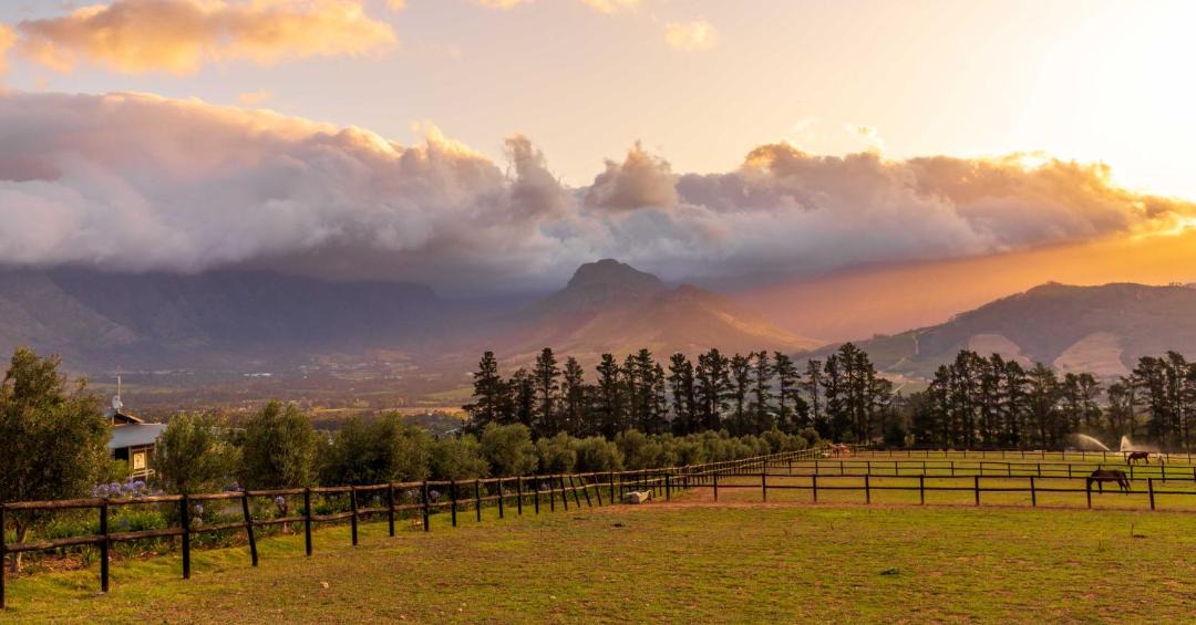 Photo of Others in Franschhoek