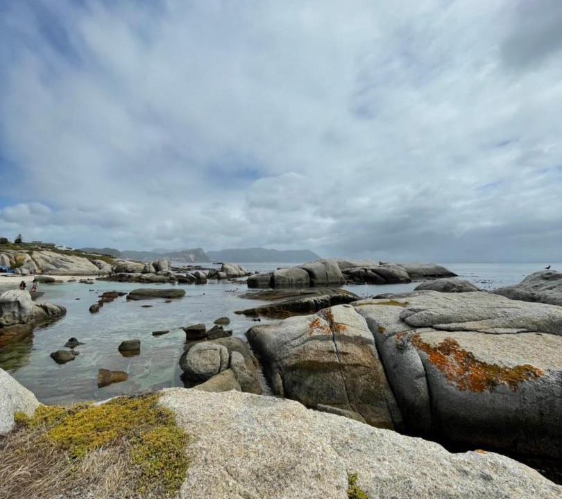 Photo of Others in Simon's Town
