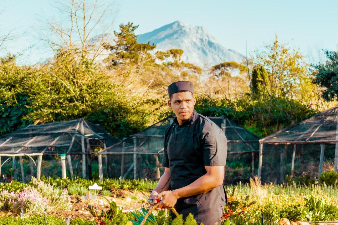 Photo of Others in Tulbagh