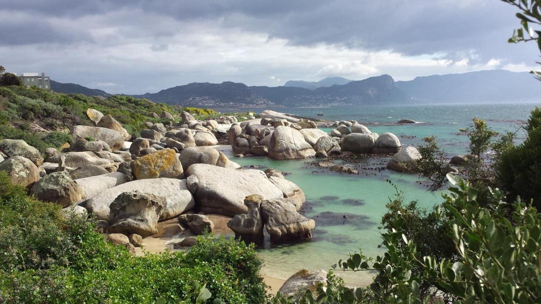 Photo of Others in Simon's Town