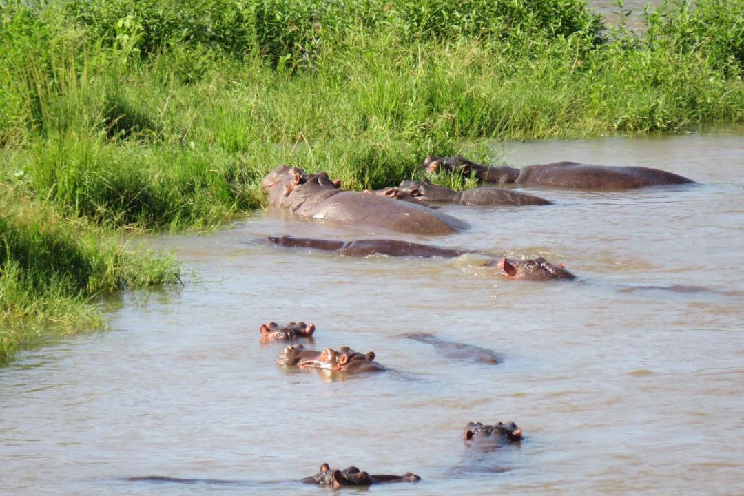 Photo of Others in Malelane