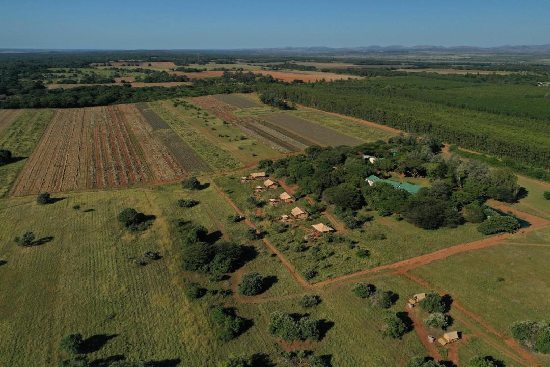 Photo of Others in Hluhluwe