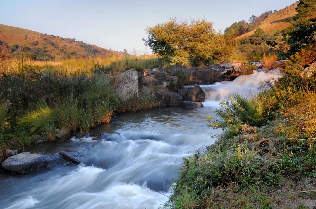 Photo of Others in Lydenburg