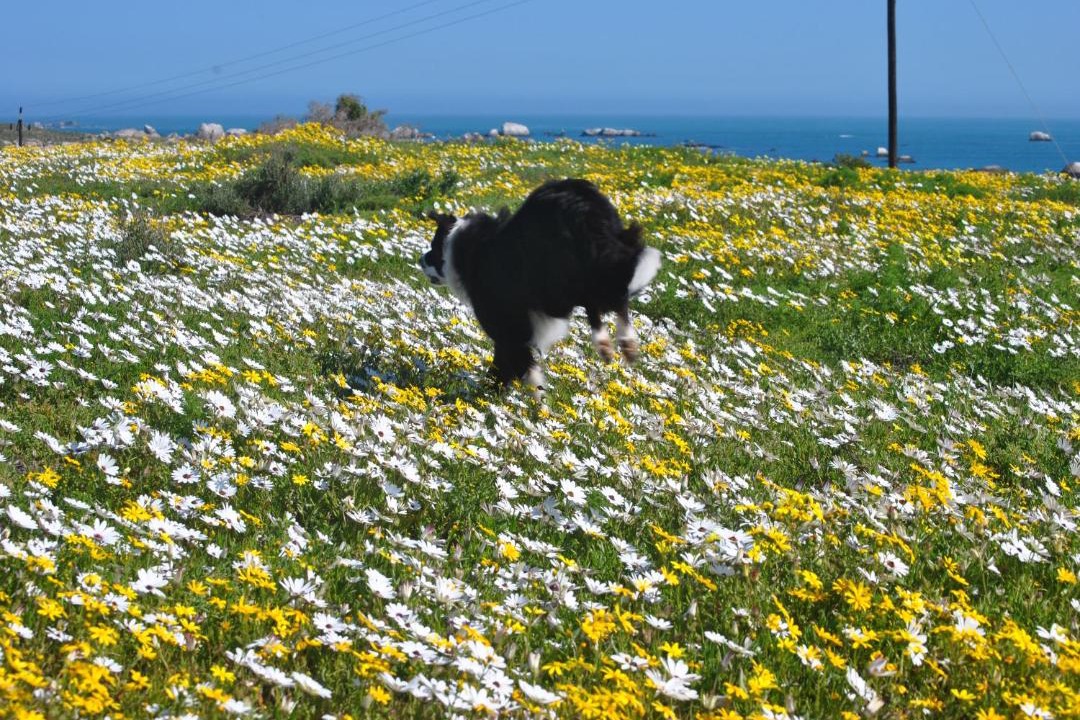 Photo of Others in Paternoster