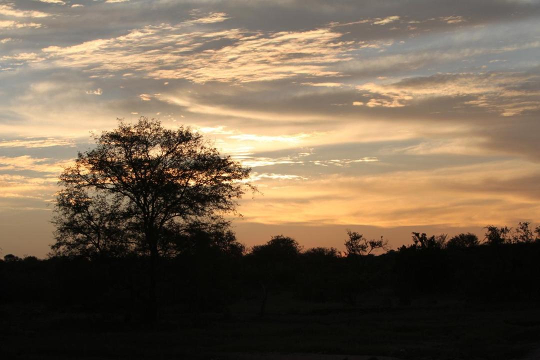 Photo of Others in Thorny Bush Game Reserve