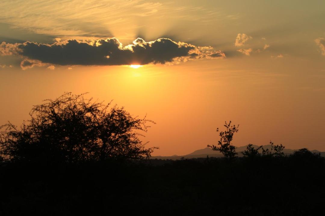 Photo of Others in Thorny Bush Game Reserve