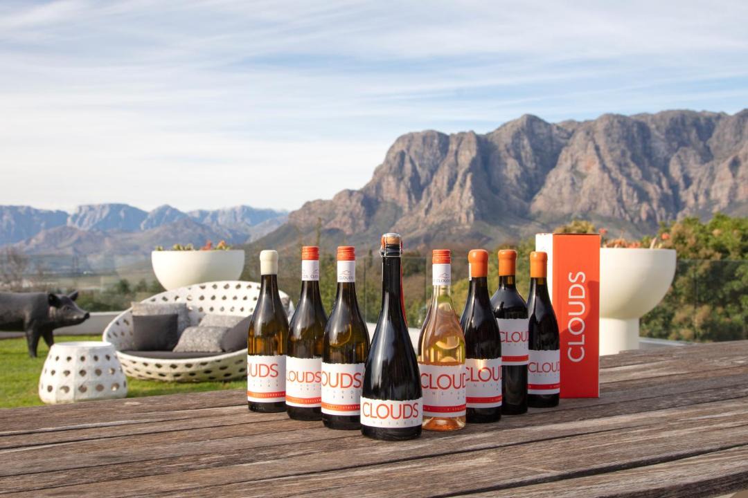 Photo of Others in Cape Winelands