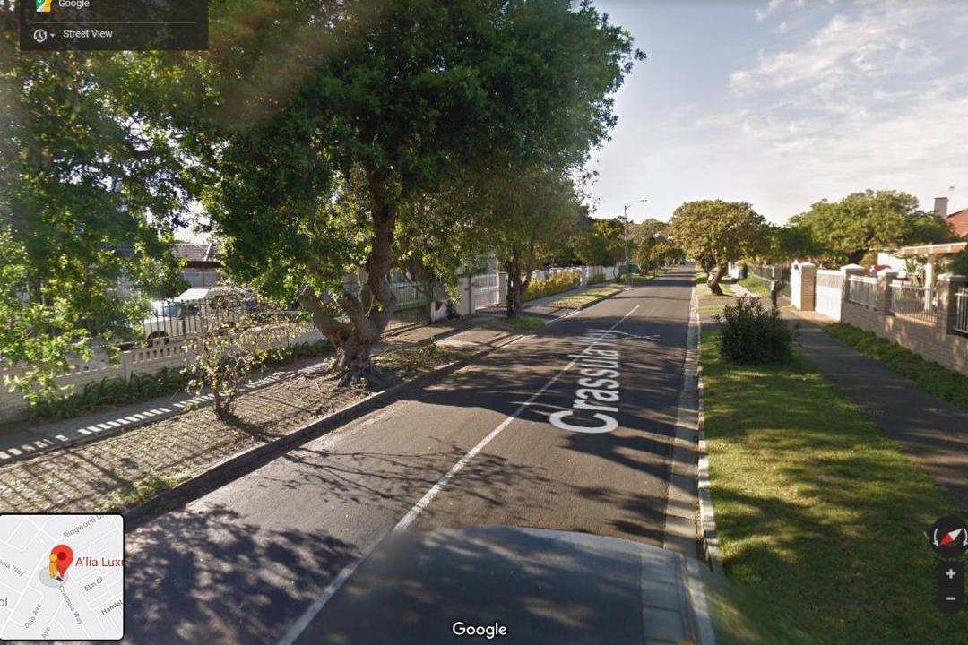 Photo of Others in Pinelands