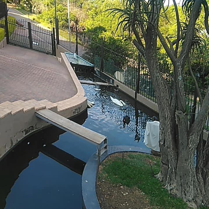 Photo of Others in Pretoria