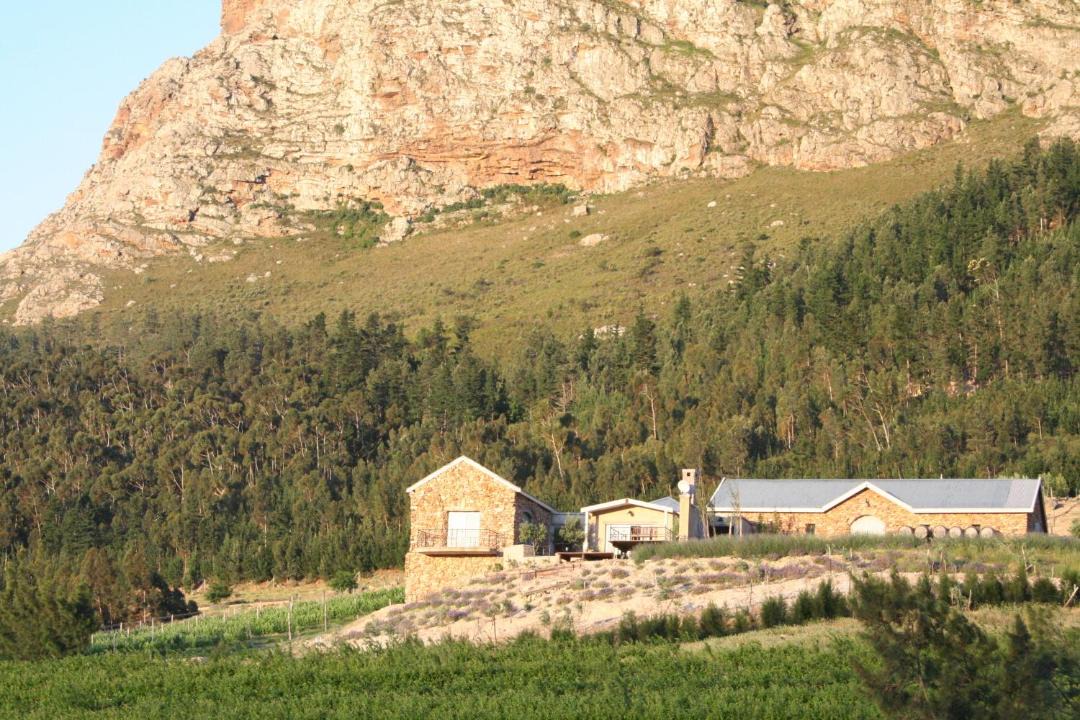 Photo of Others in Franschhoek