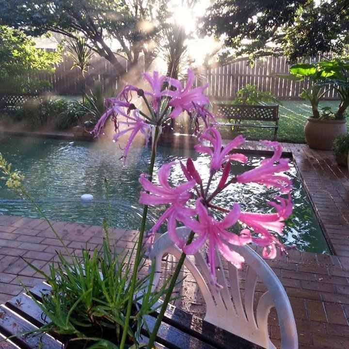 Photo of Others in Greater Johannesburg Metropolitan Area