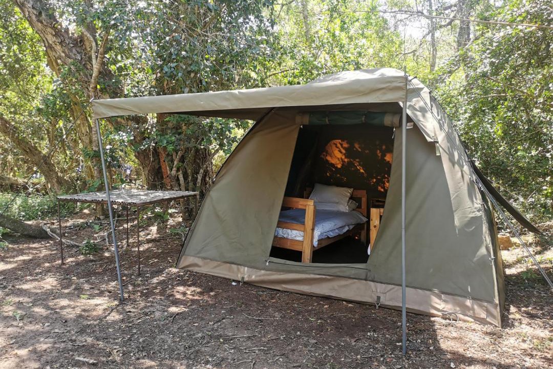 Photo of Others in Wilderness