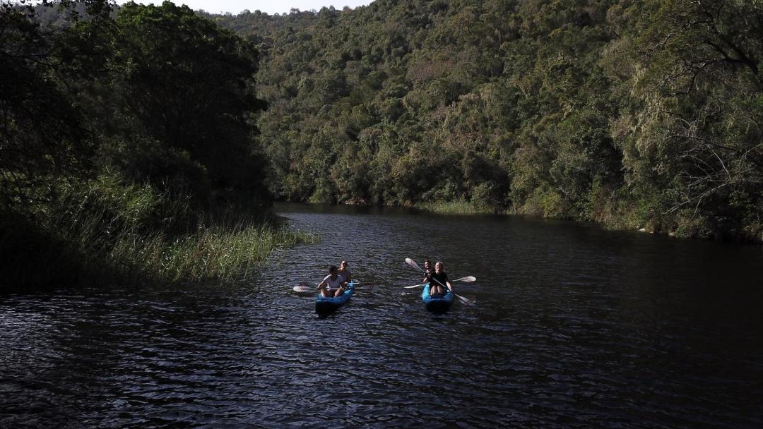 Photo of Others in Wilderness
