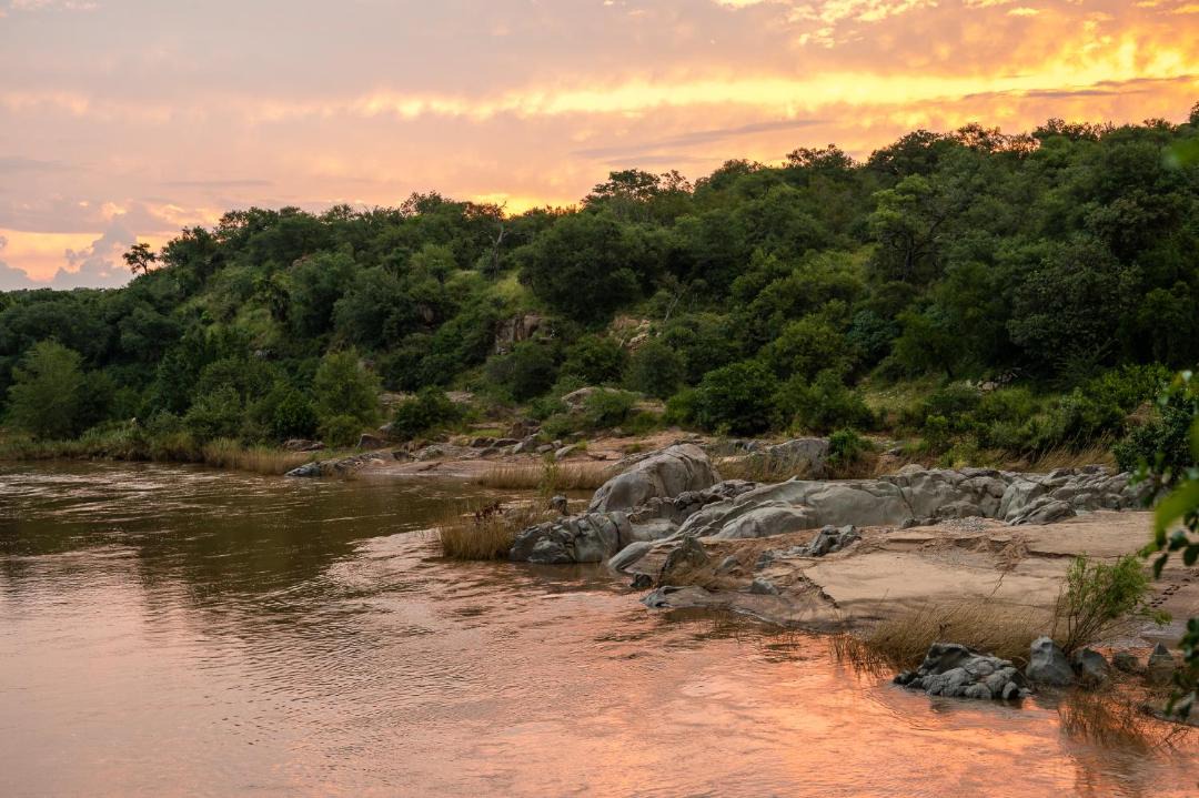 Photo of Others in Hoedspruit