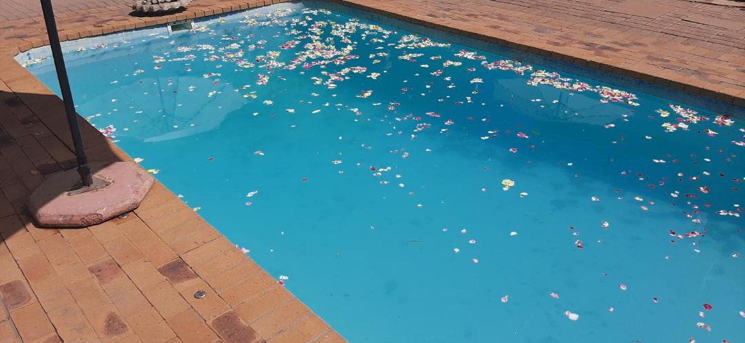 Photo of Others in Clanwilliam