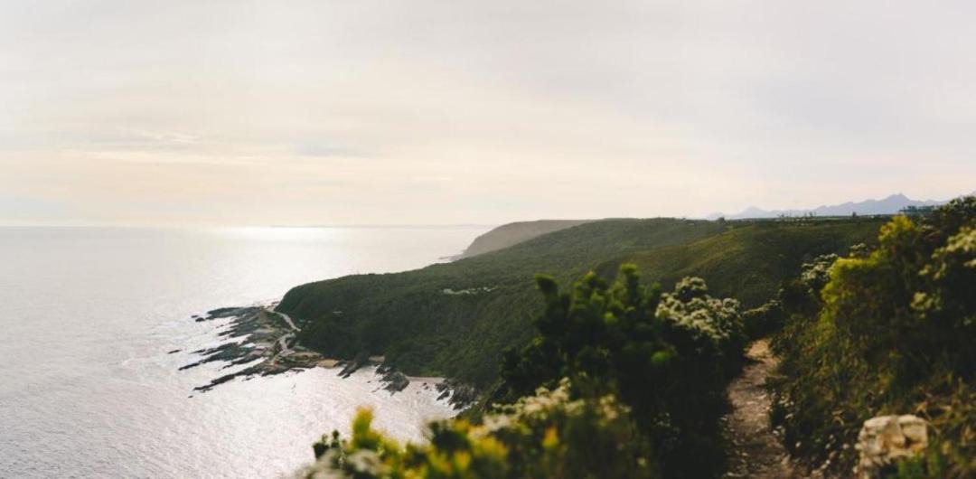 Photo of Others in Storms River