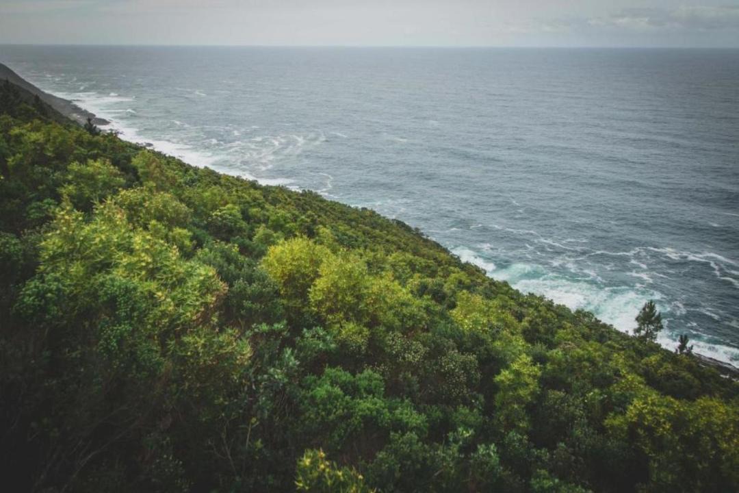 Photo of Others in Storms River