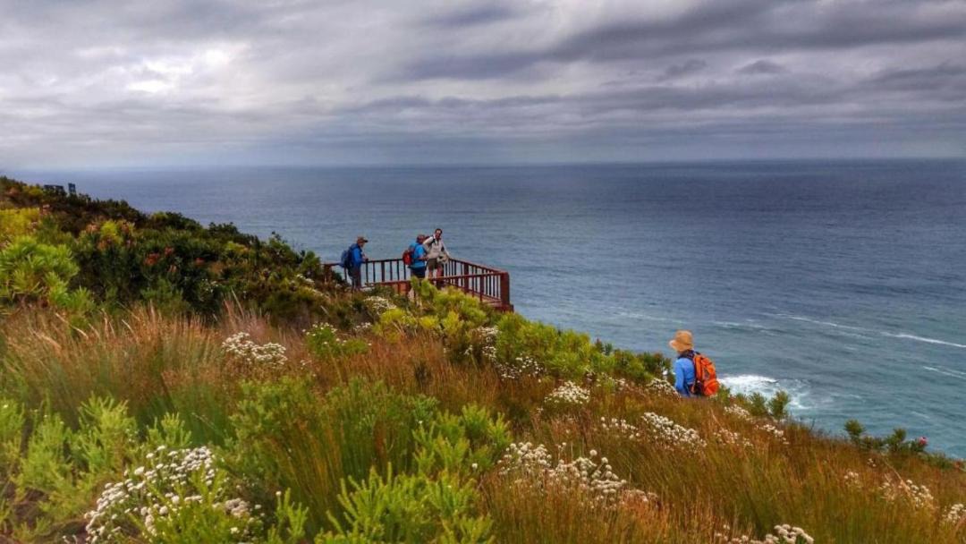 Photo of Others in Storms River