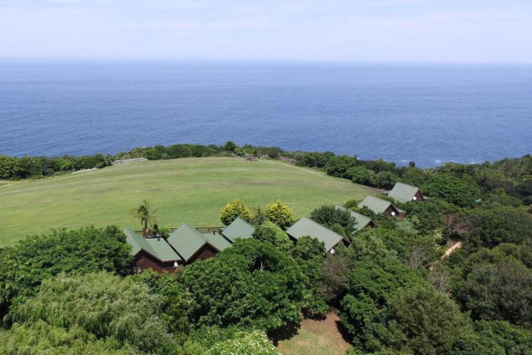 Photo of Others in Storms River